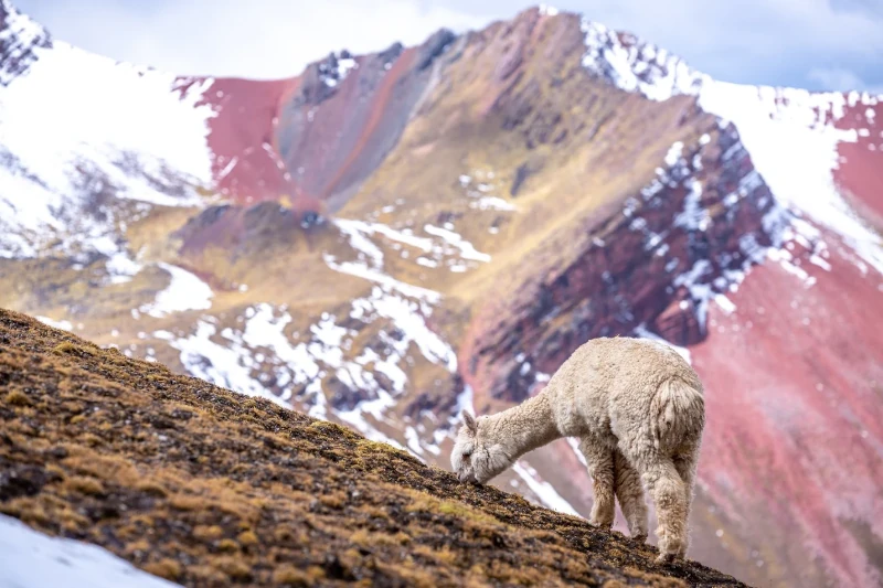 peru rainbow mountains