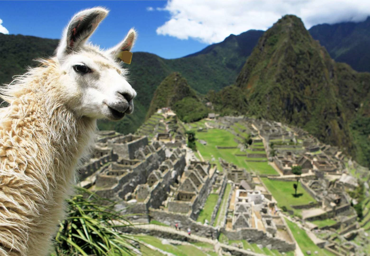 inca trail elevation