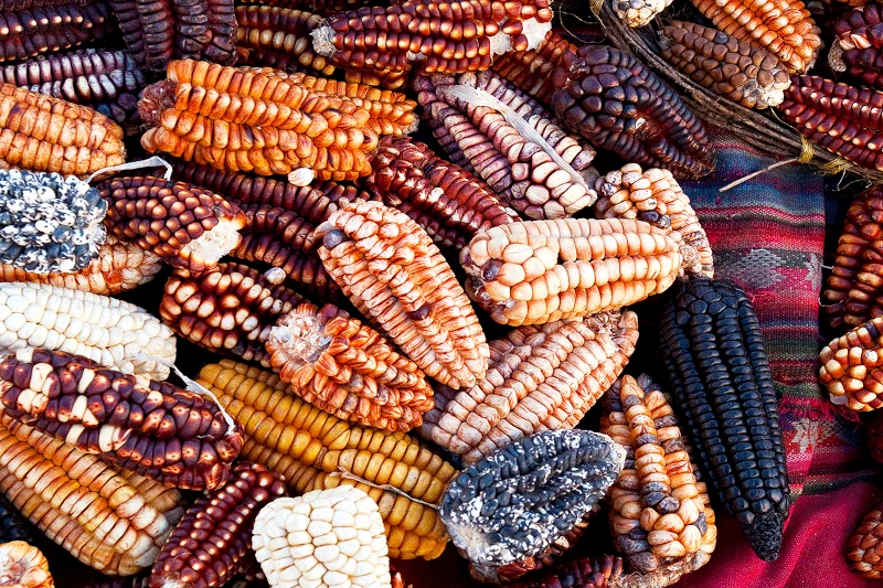 Peruvian Cuisine
