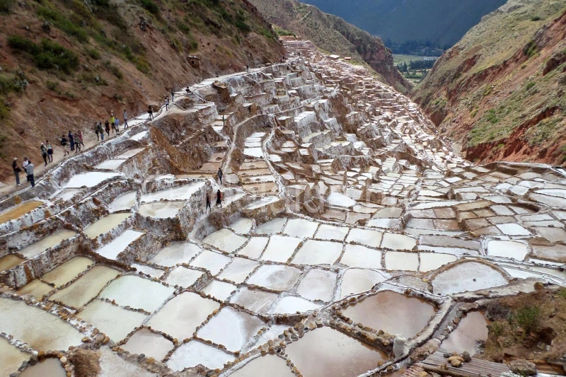 Maras Cusco