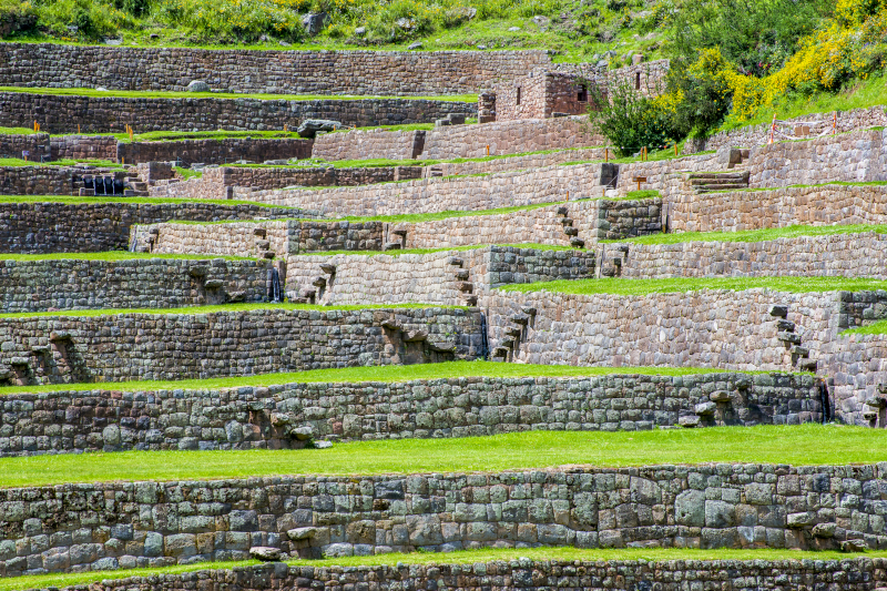 Inca Agriculture and Farming