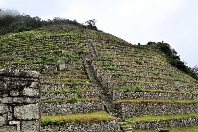 Inca Agriculture and Farming