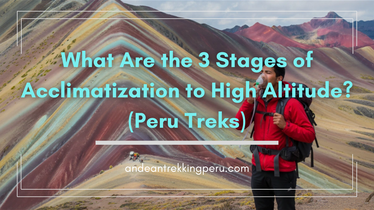 What Are the 3 Stages of Acclimatization to High Altitude