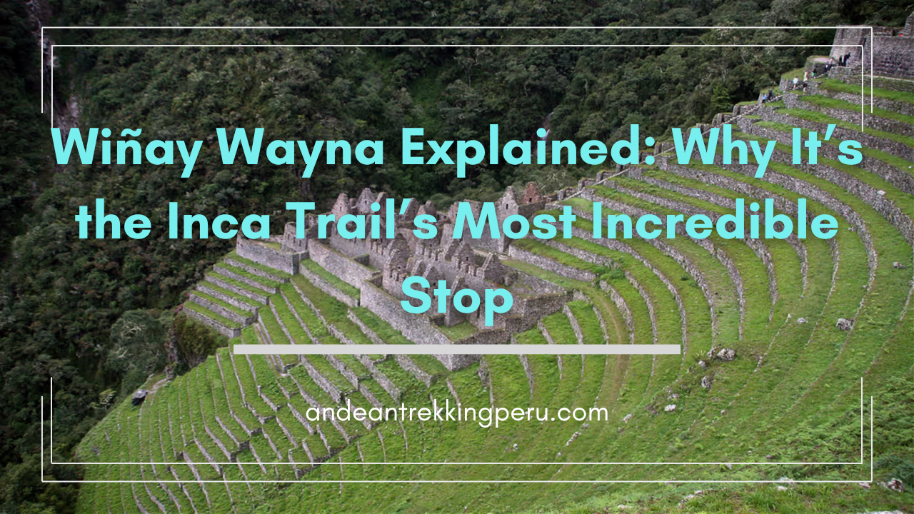 Wiñay Wayna