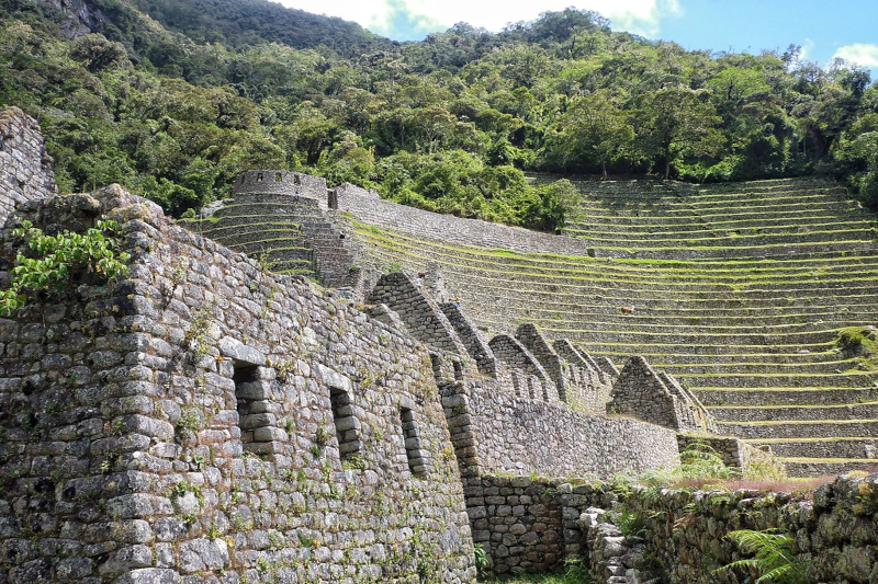 Wiñay Wayna