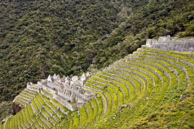 Wiñay Wayna