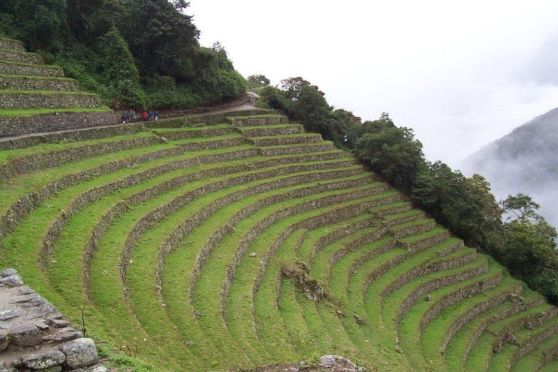 Wiñay Wayna